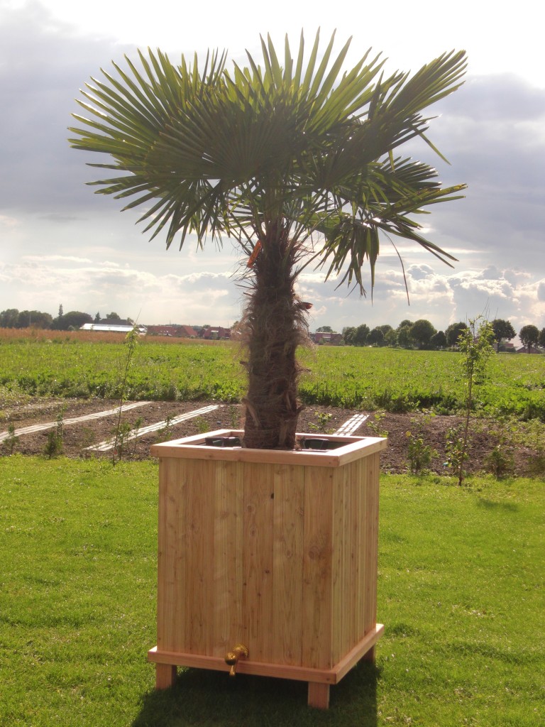 grosser Pflanzkübel aus Holz