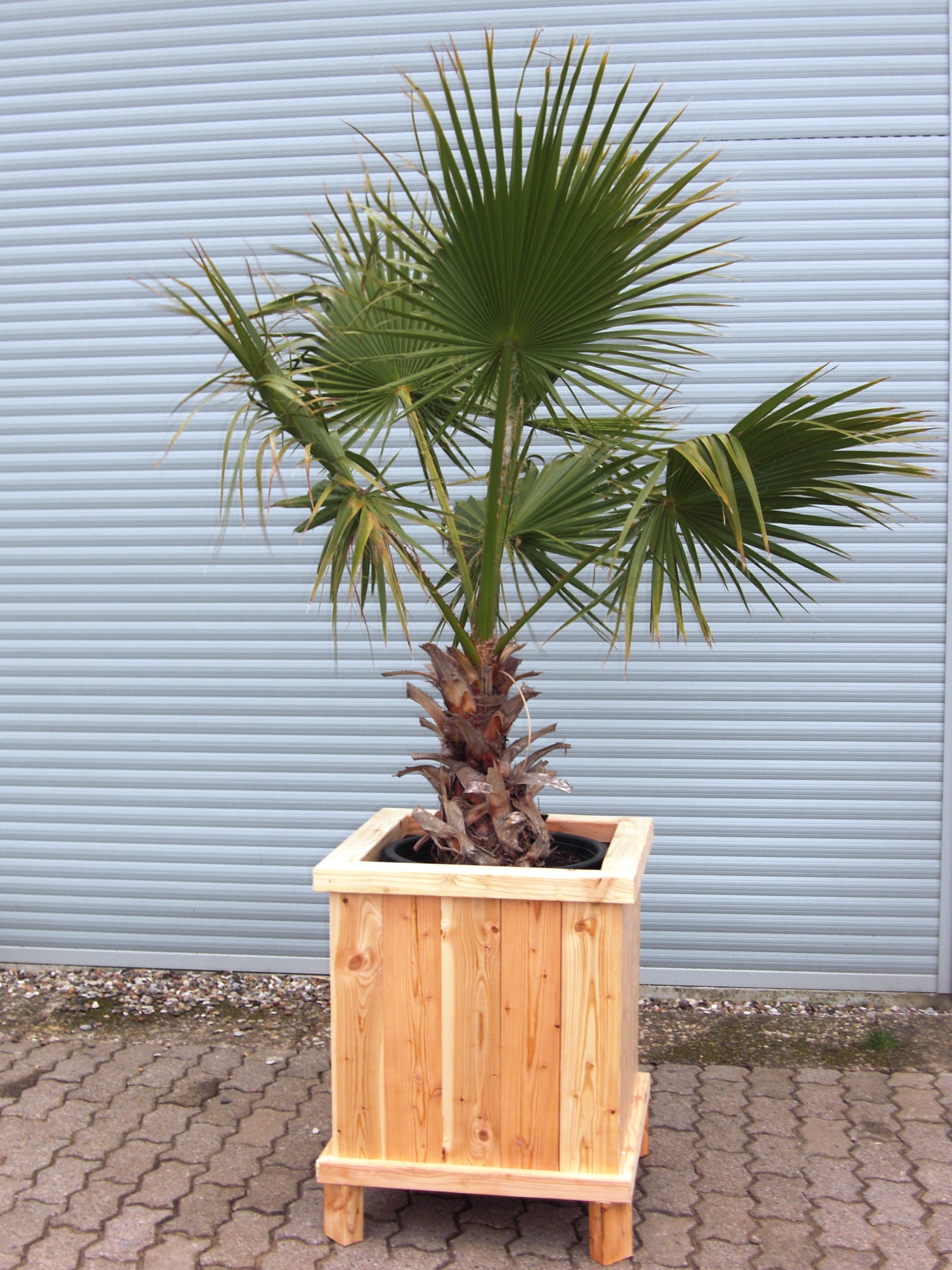 Warum spezielle Pflanzkübel - Besondere exklusive beheizte